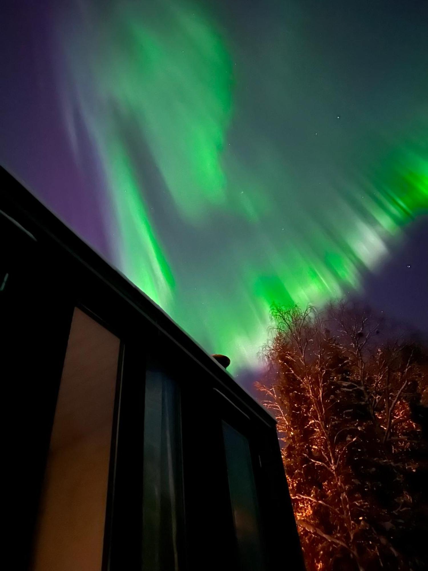 Aurora Forest Lodge Rovaniemi Esterno foto